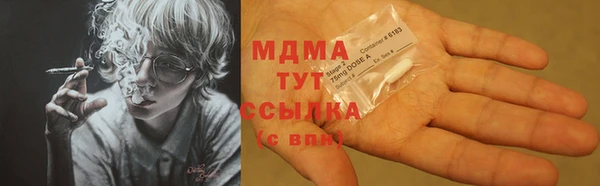 спиды Богданович