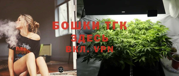 спиды Богданович